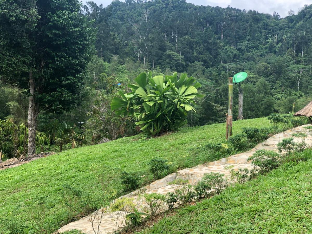 Backpacker'S Hill Resort San Vicente  Ngoại thất bức ảnh